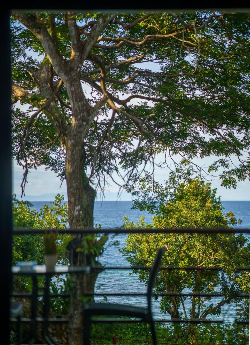 Oceanside 2 bedroom house, 100Mbps WiFi - Housity