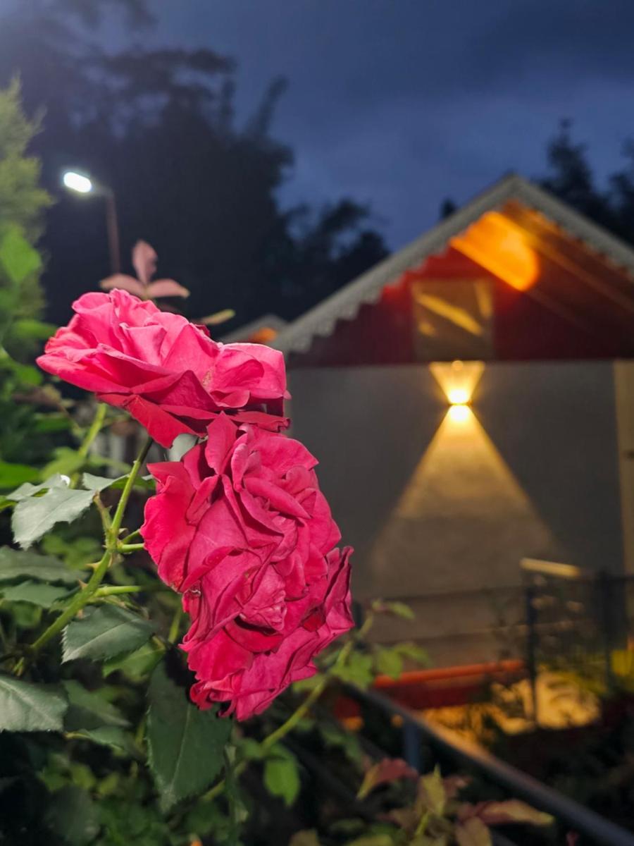 Godhuli Eco Stay - Hizvo
