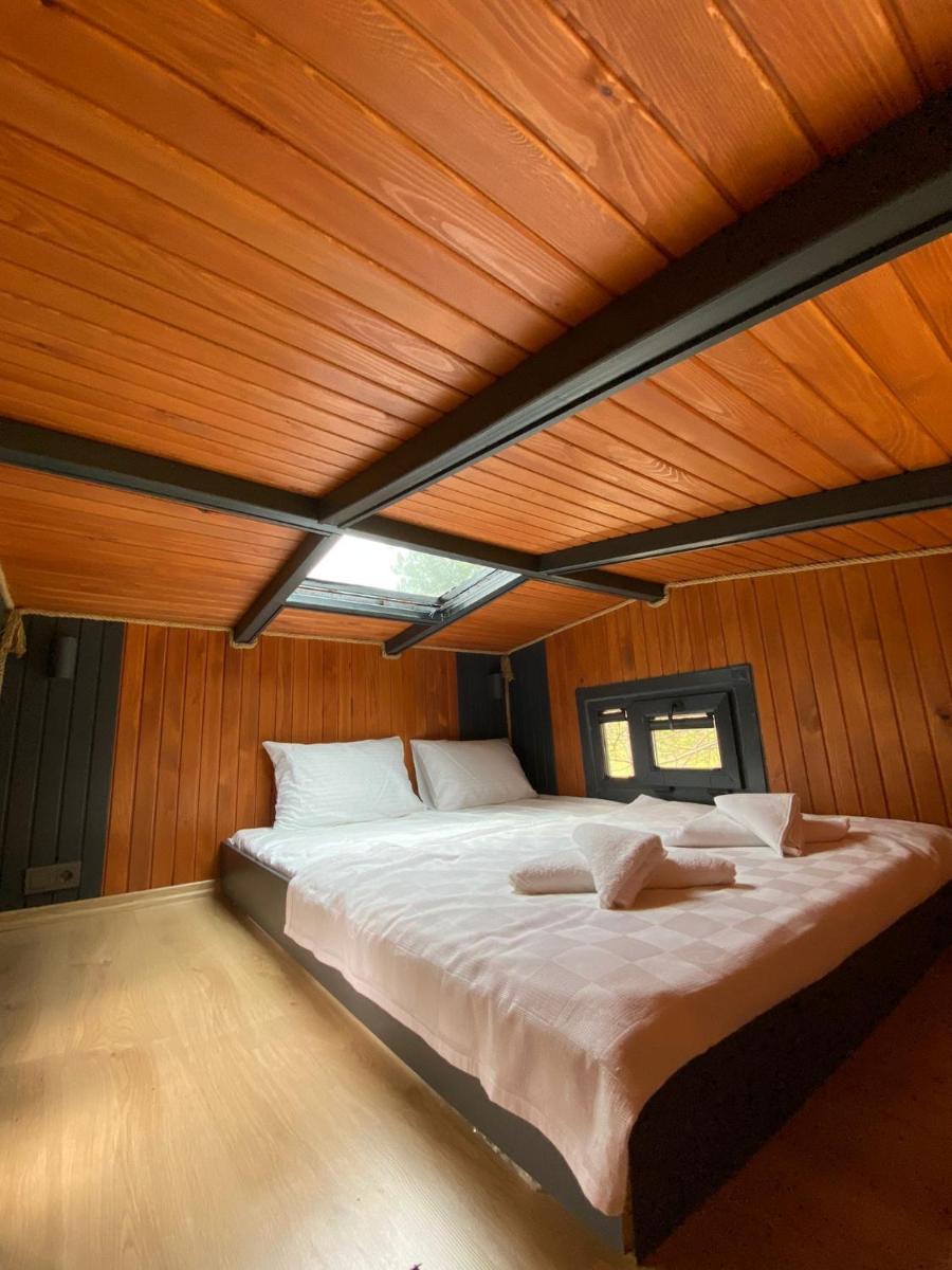 Golifehouses - Housity