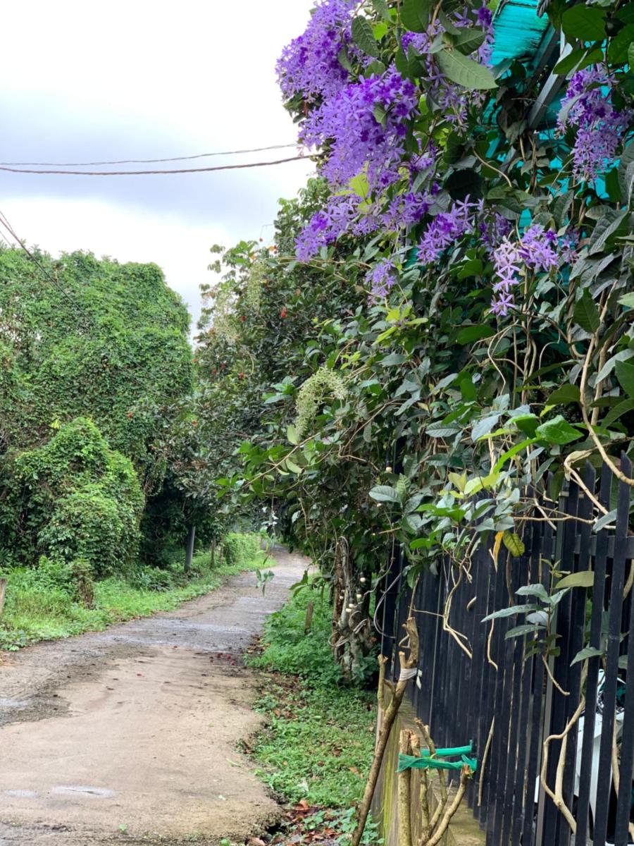 Khách Sạn An Bình - Housity
