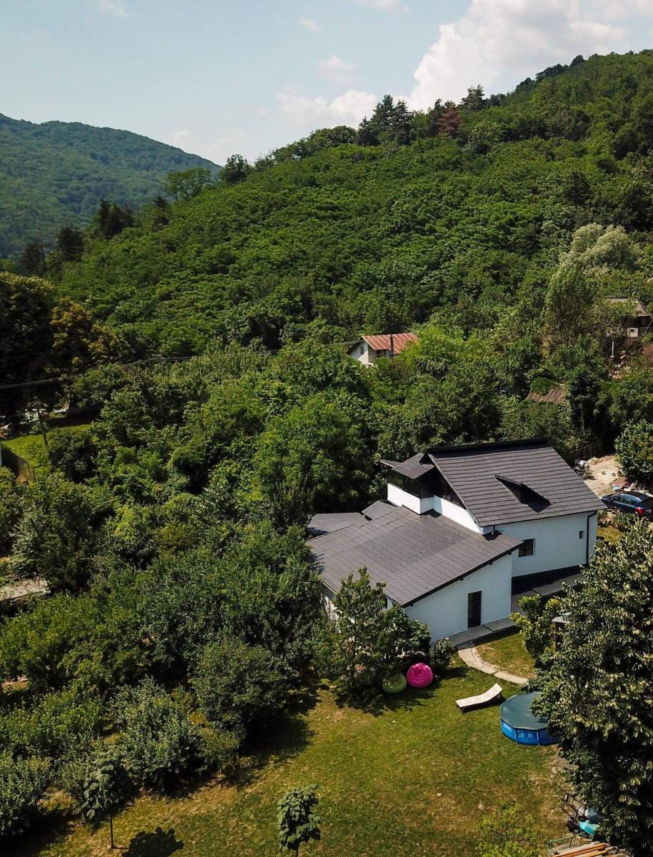 Suitetrails - UpForest Guesthouse
