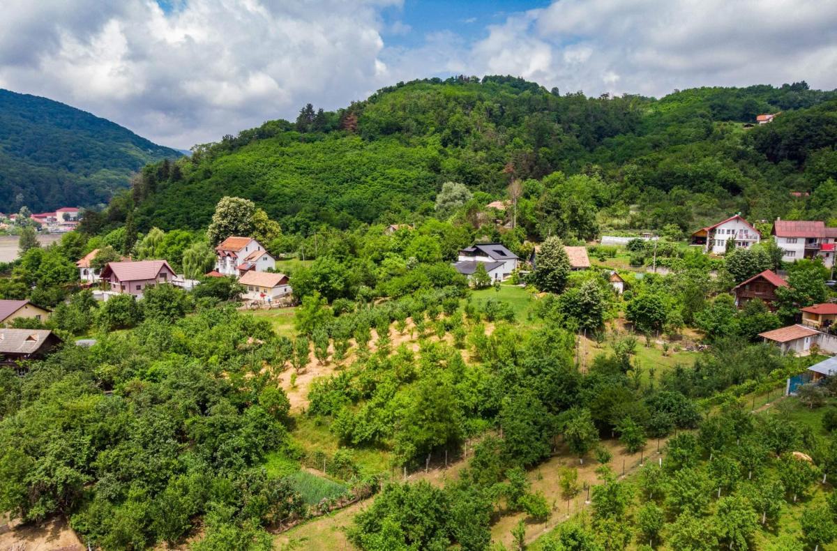 Suitetrails - UpForest Guesthouse
