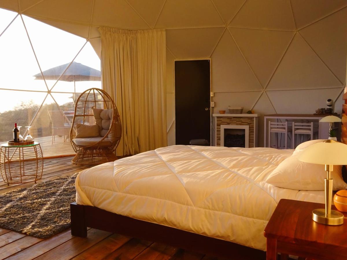 Skylake Glamping - Housity