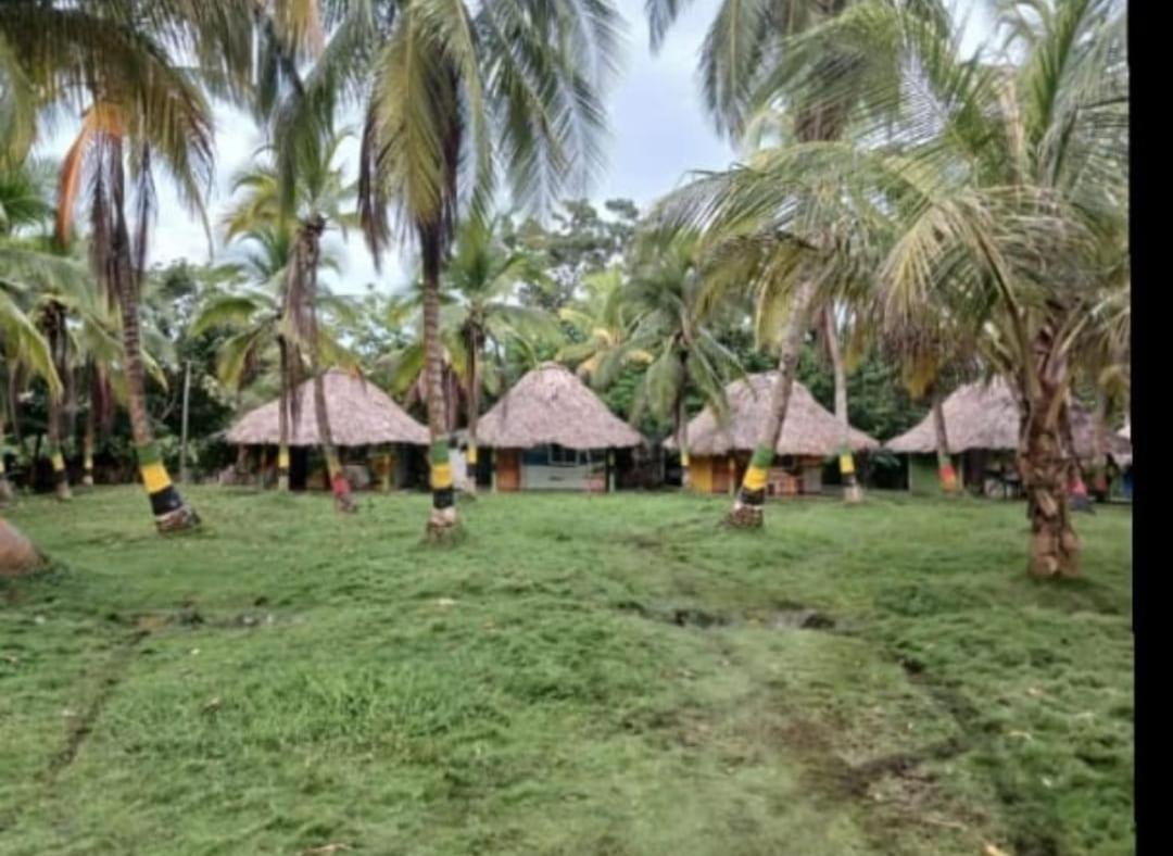 CABAÑAS TOURS DONDE EL PAISA - Housity