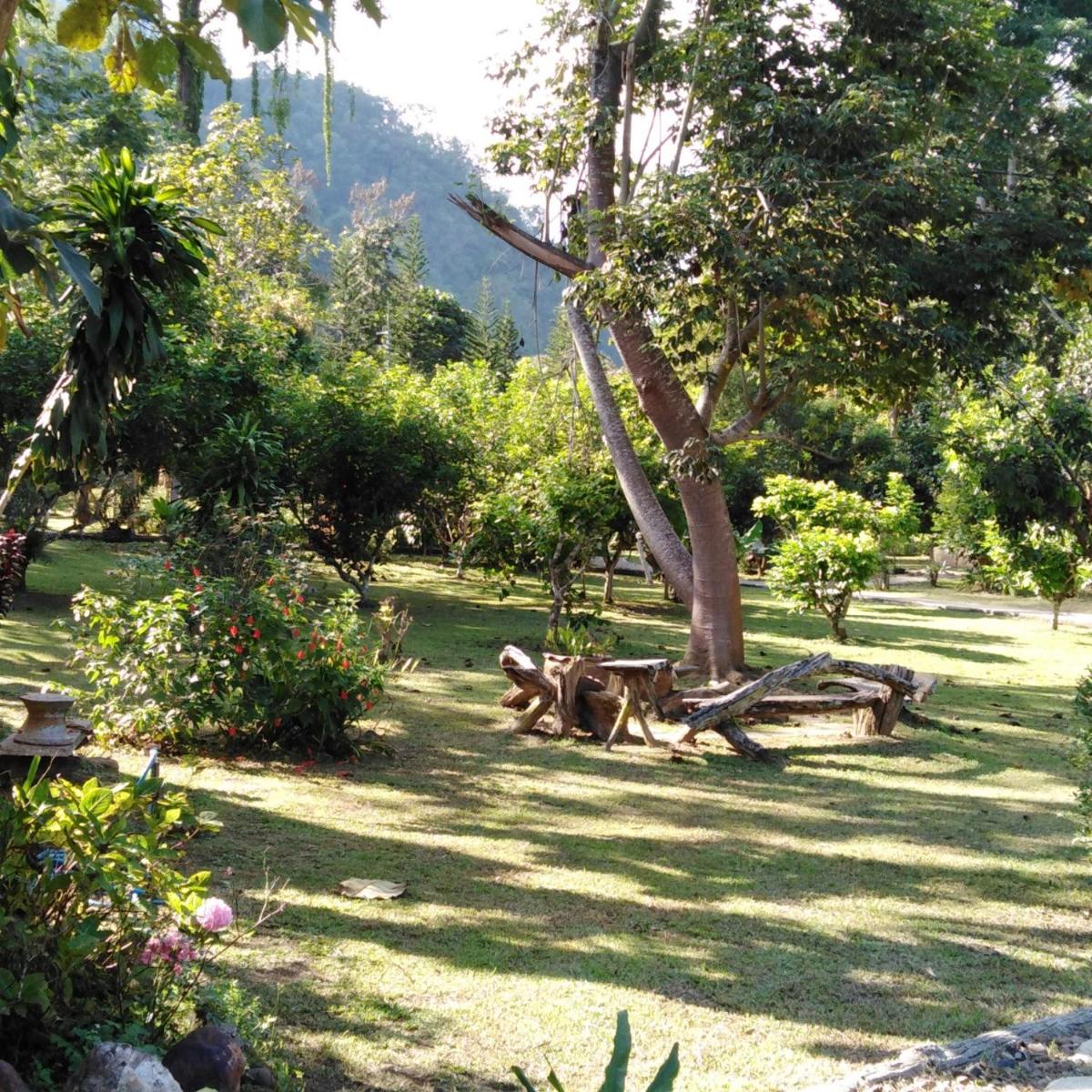 At Home Chiang Dao, Pooch Lovers - Housity