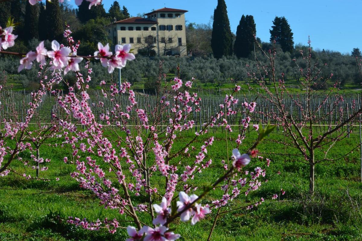 Villa Enrico Fermi - Housity