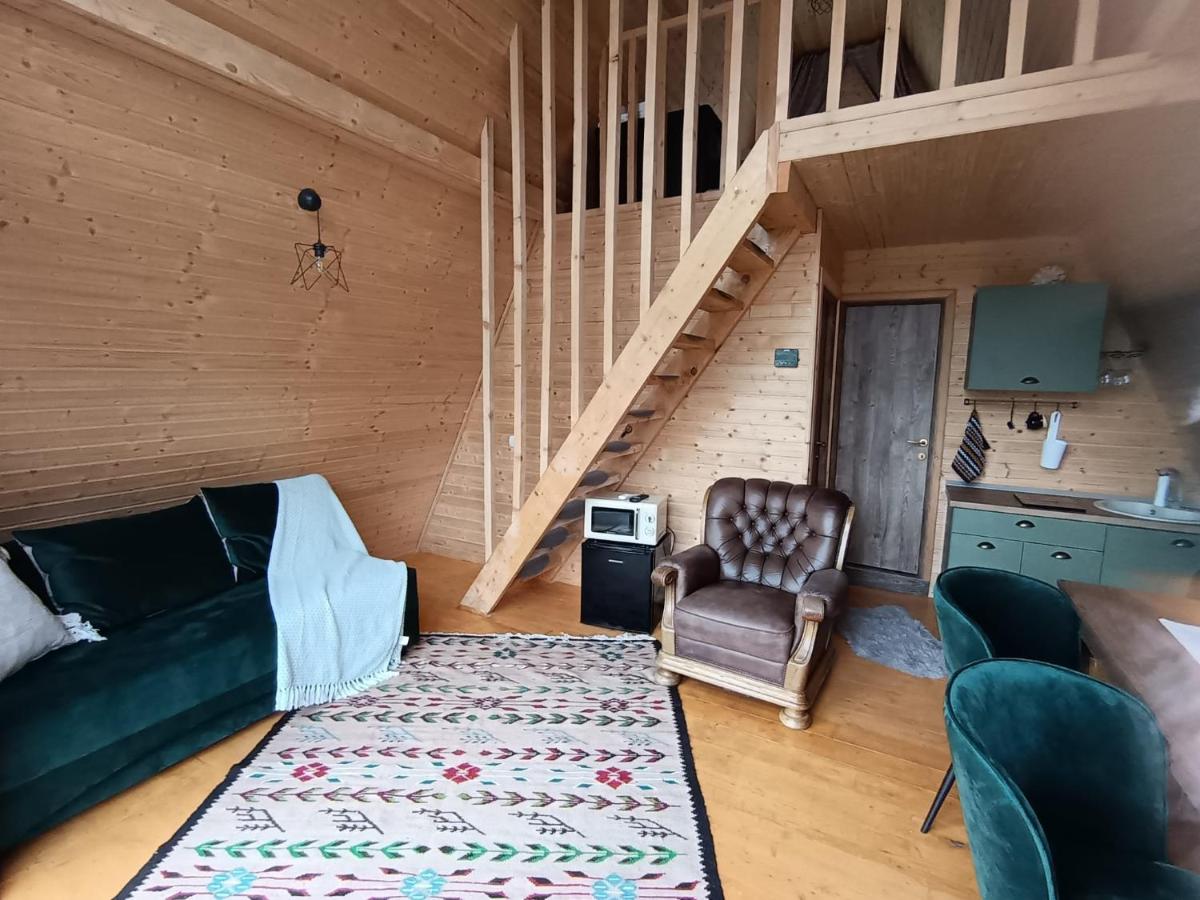 CarpatinA Rustic House - Housity