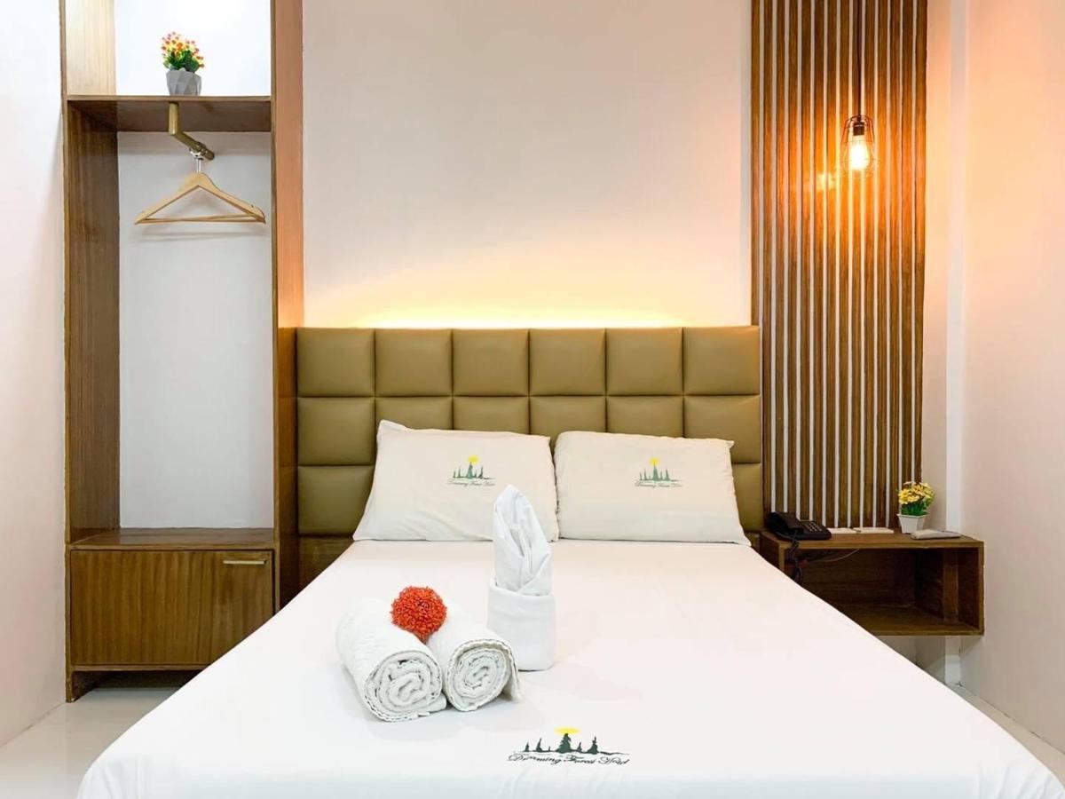 Dreaming Forest Hotel - Libjo, Batangas - Hizvo