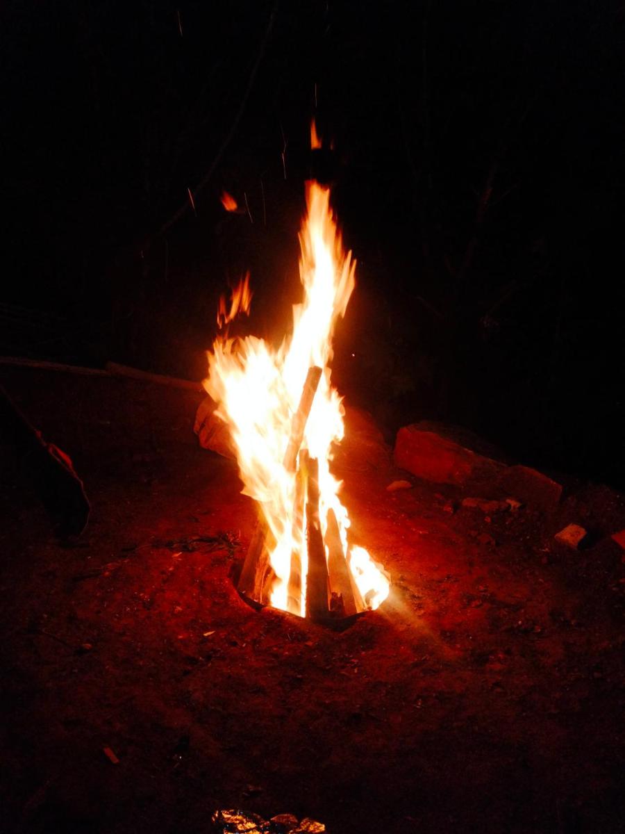 SRV Residency - Housity