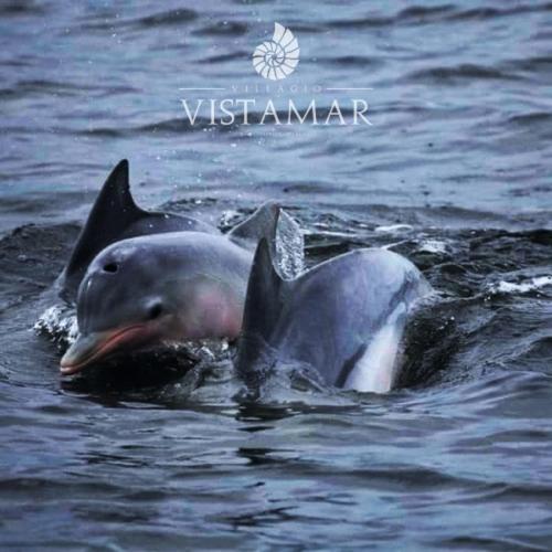 Villagio Vistamar Ilha Comprida - Housity