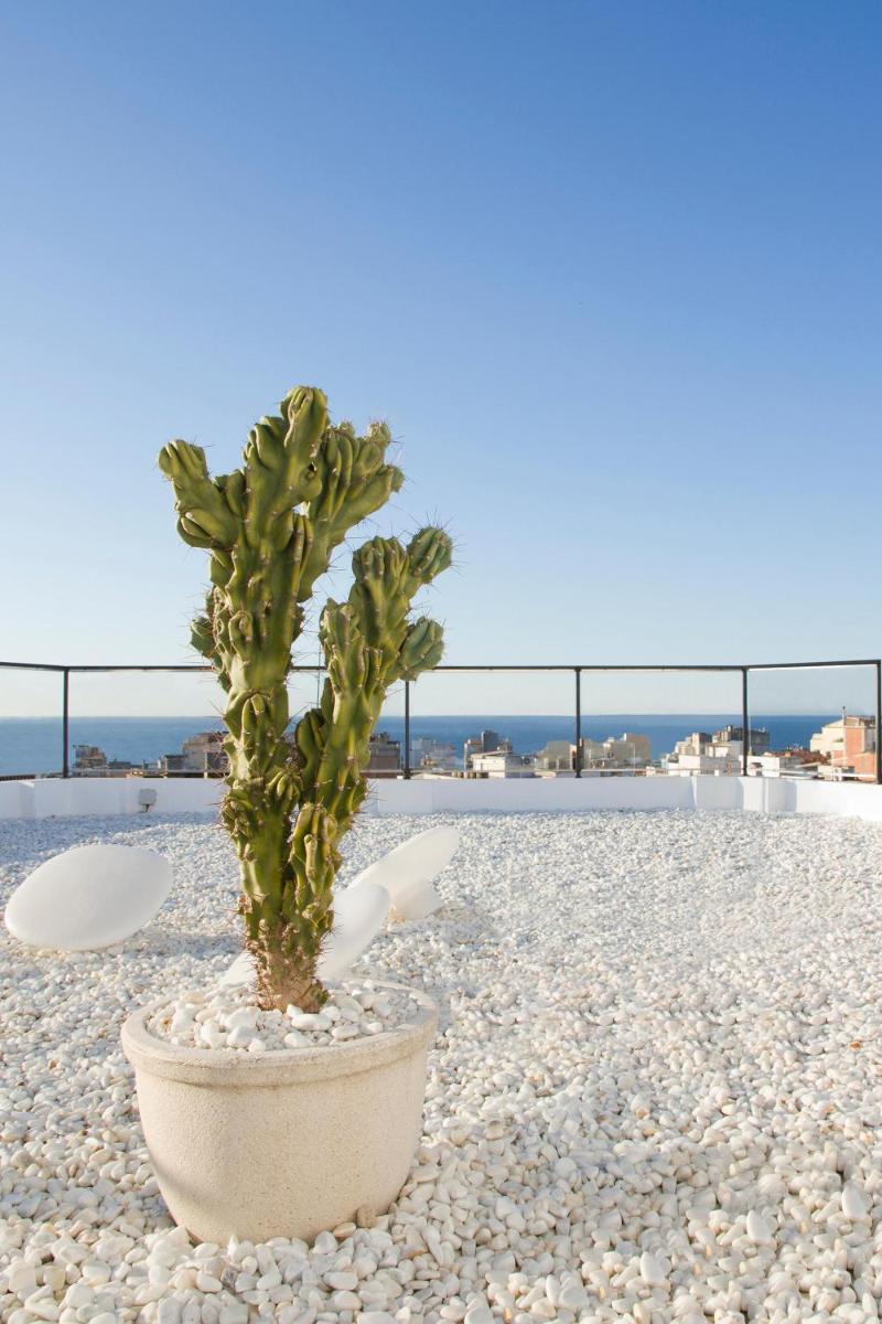 Paisaje cerca de este hotel