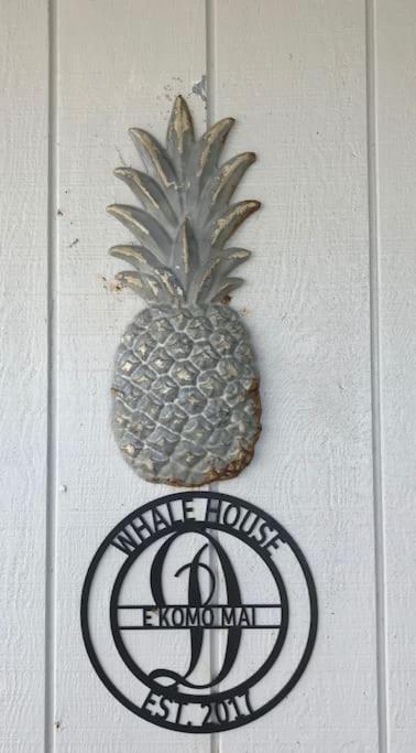 Stunning Ocean Views - Whale House Hawaii - Housity