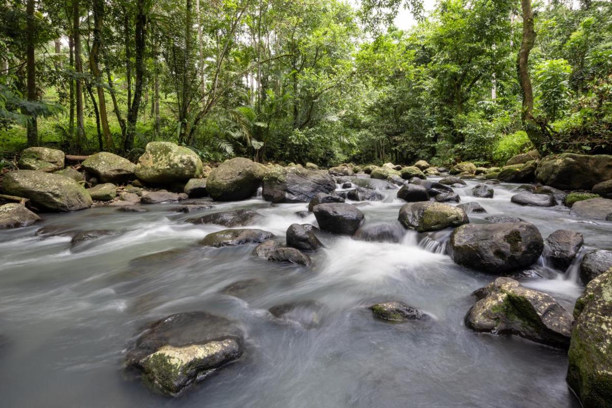 Amarta Pesagi Retreat Tabanan - Housity