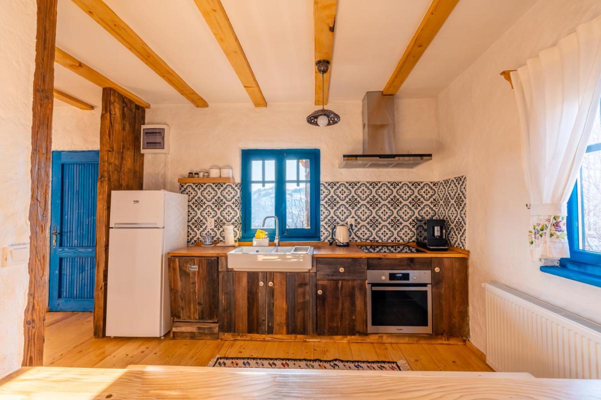 La sat - Radu Dragu - Housity