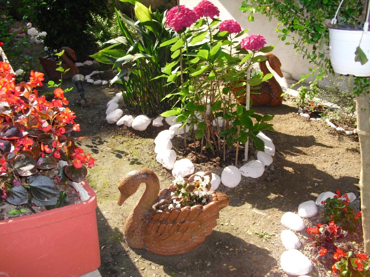 Villa Nikolas - Housity
