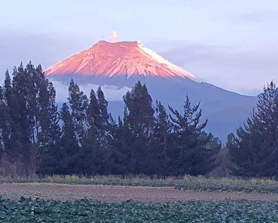 Alojamiento la moya Cotopaxi - Housity