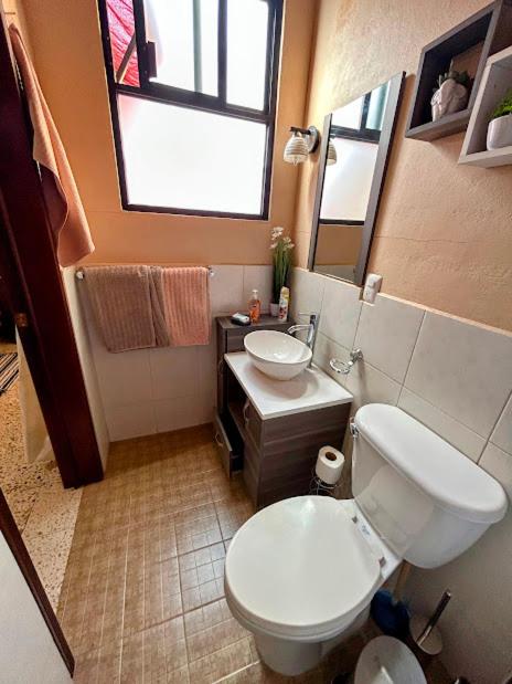 Casa de las Palmas Guest House - Housity