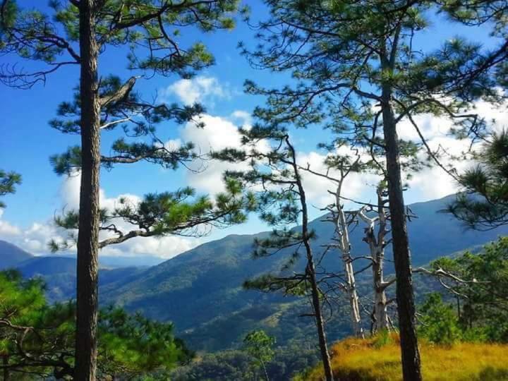 Nueva era eco park resort danglas abra - Housity