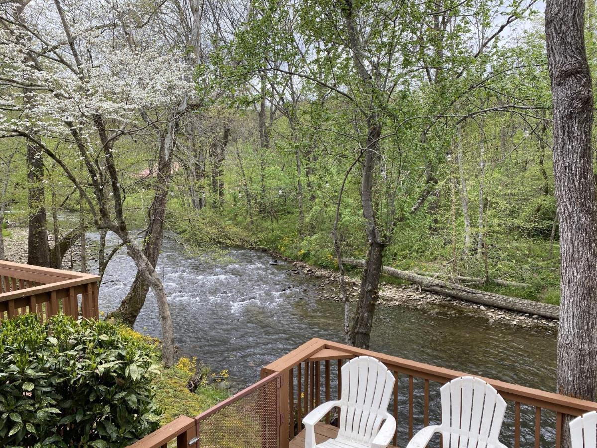 Gray's Place on Cosby Creek - 2 Bedrooms, 2 Baths, Sleeps 6 home - Housity