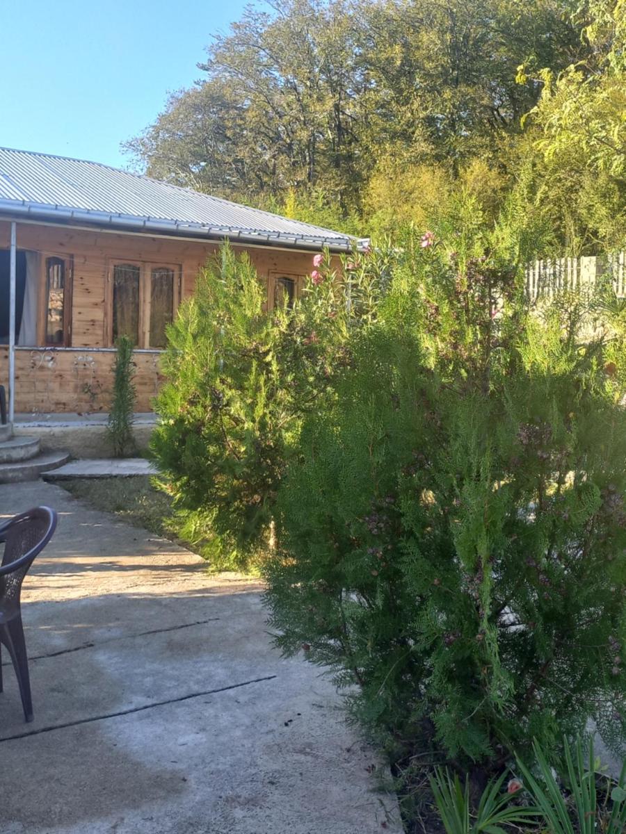 Green Villa Tskaltubo - Housity