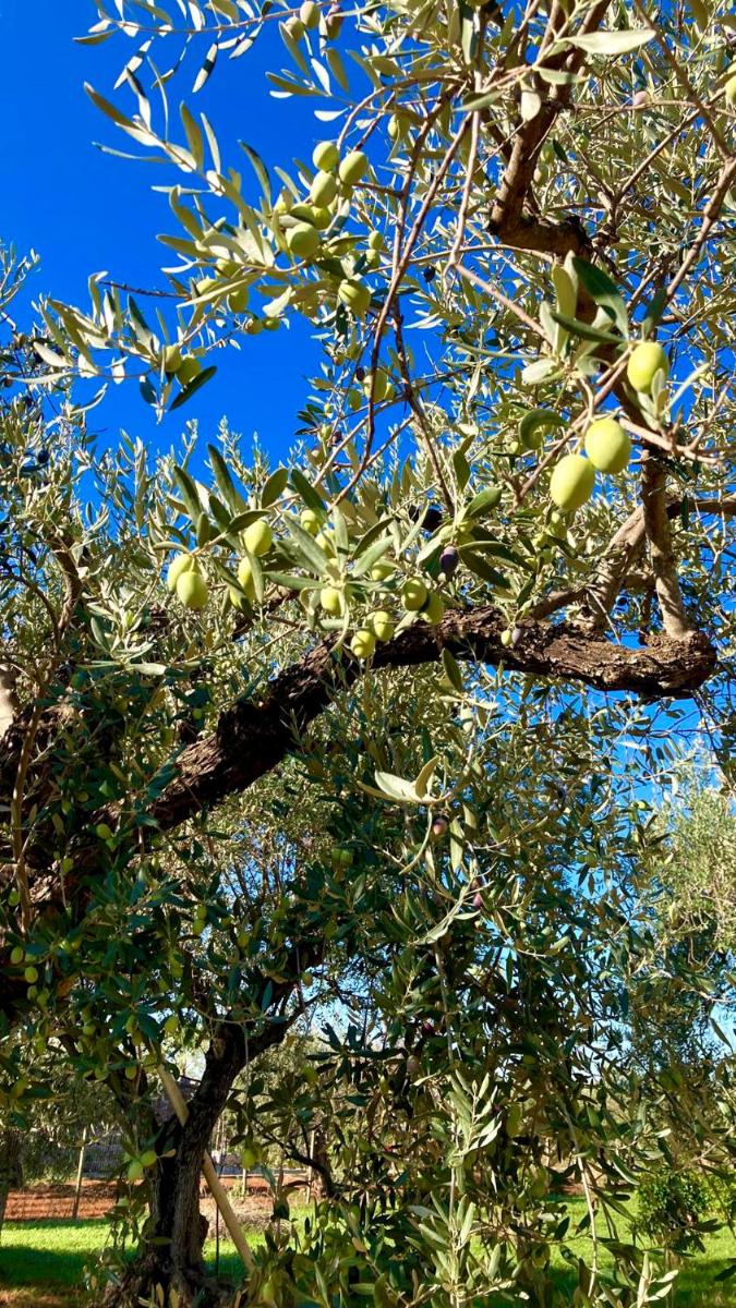 Una Vita In Vacanza - Housity