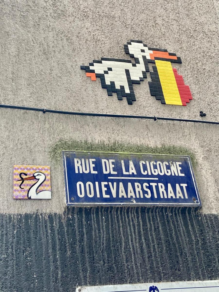 En plein cœur de Bruxelles. Superbe duplex.A voir! - Housity