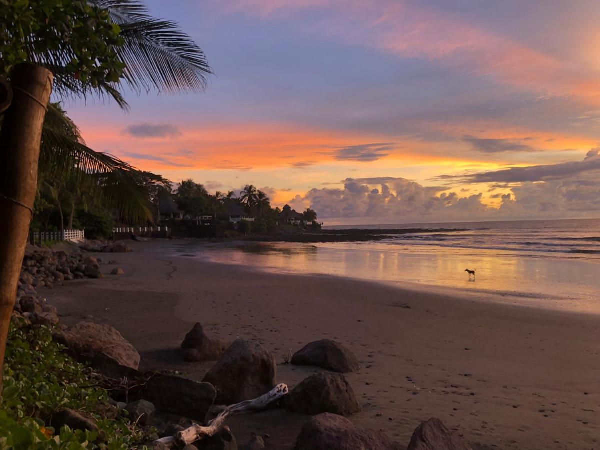 El Marabu Surf Resort - Housity
