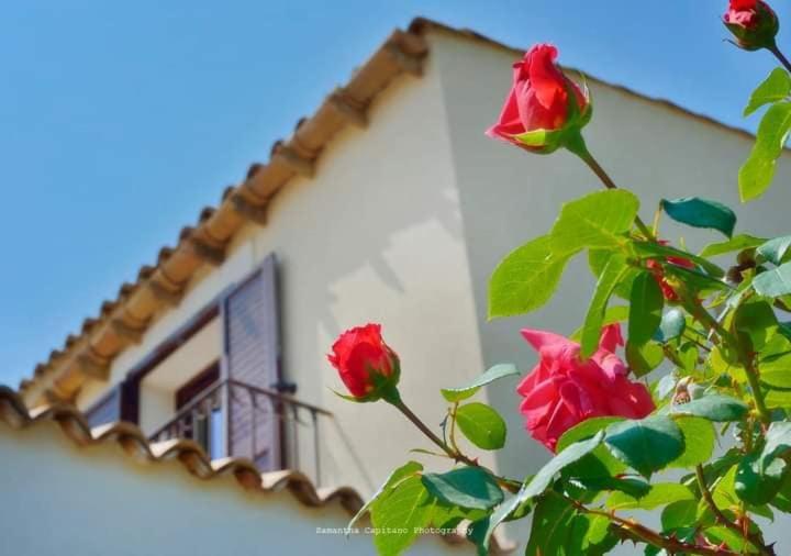Le 3 Rose apartments - Housity