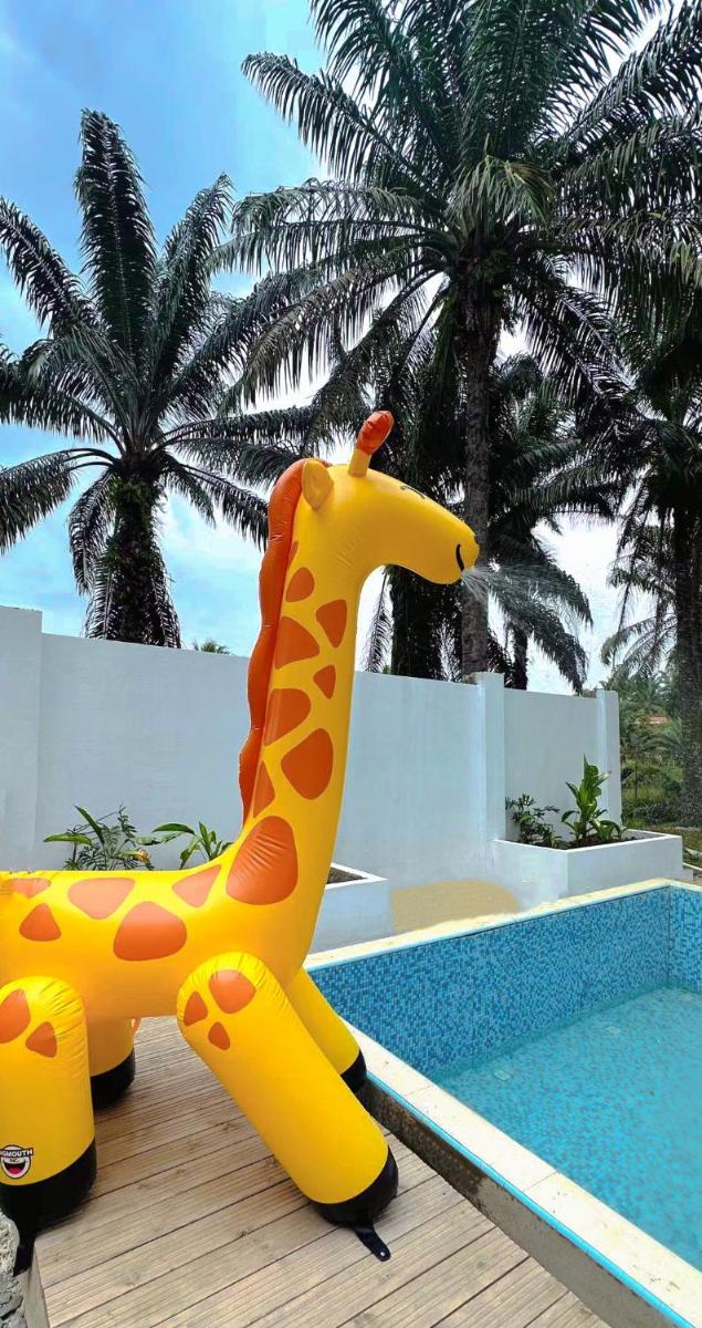 OPINE VILLAS/菠萝的海.度假别墅 - Housity