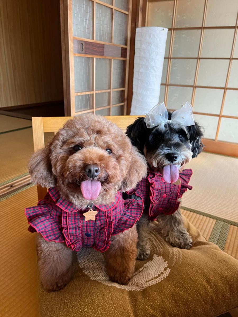 吉野長屋 - Housity