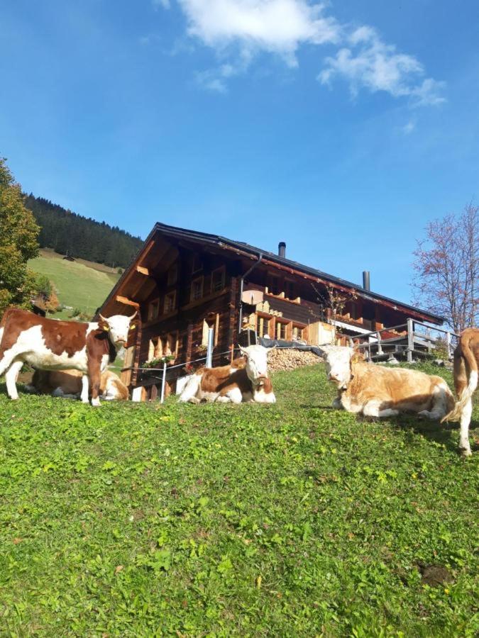 Olle and Maria's B&B- apartment - Housity