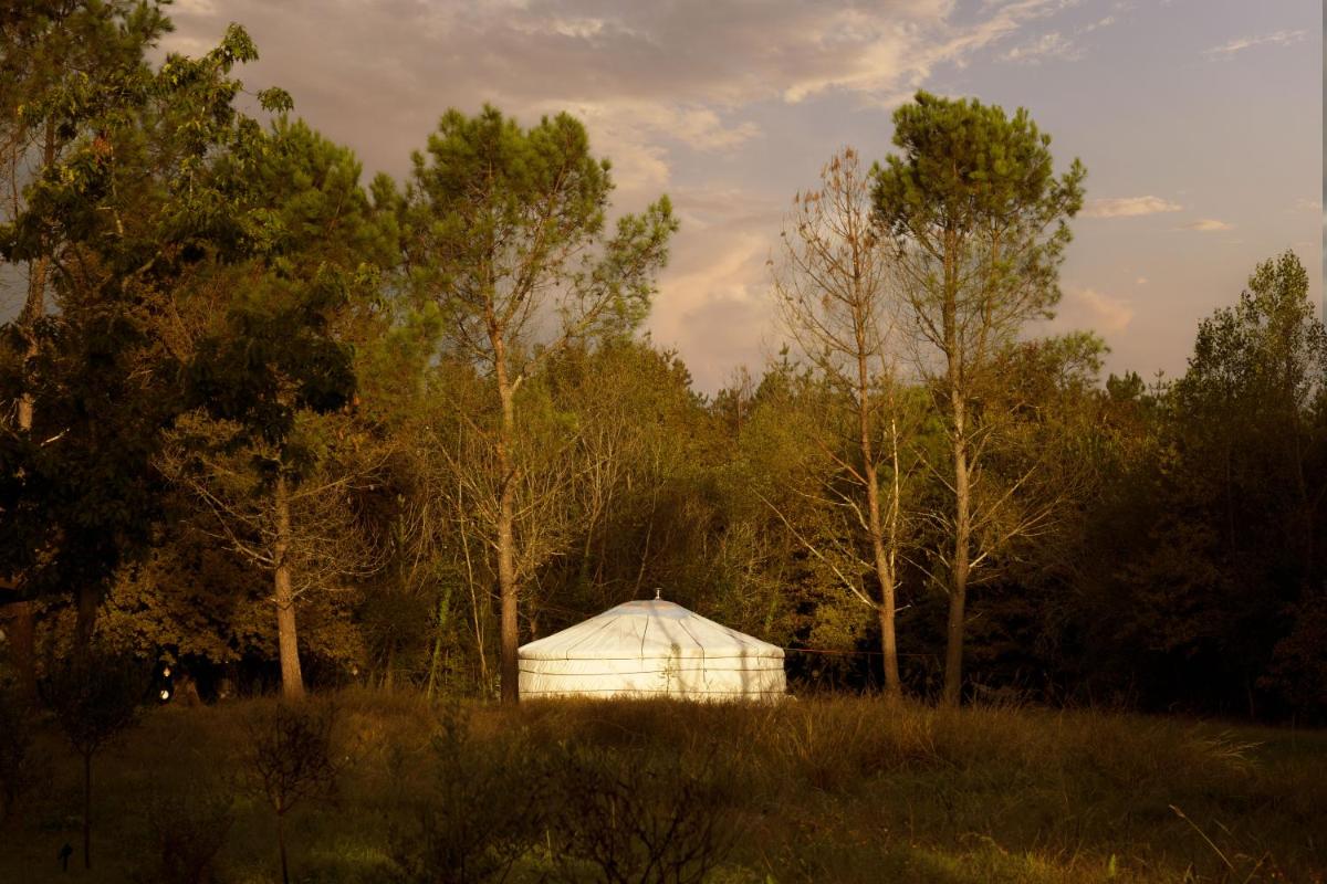 A 30 min de Bordeaux! Yurt 'Bohemian Chic' - Housity