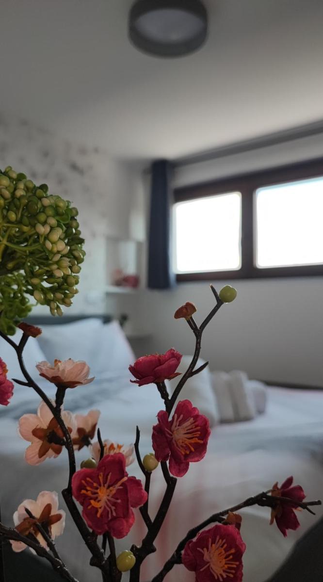 Attico Stella Alpina - Housity