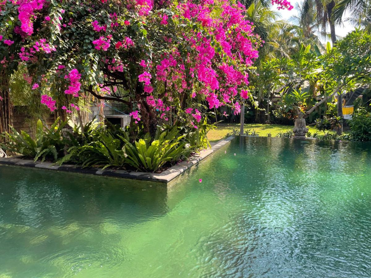 Villa Rawarawa - Housity