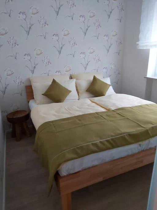 Wohnung Elisabeth - Parkblick - Am Buhl'schen Park 40 - zentrumsnah - Housity