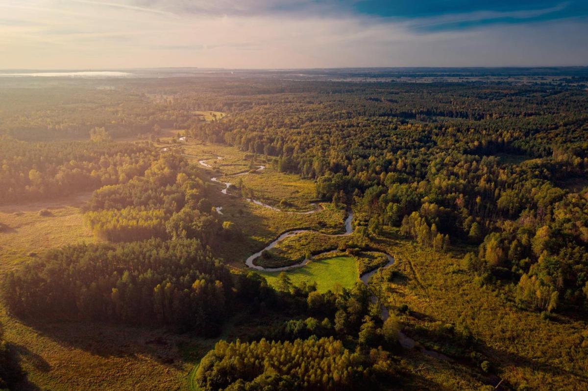 Sauna, balia i drewniana chata nad rzek? - Housity
