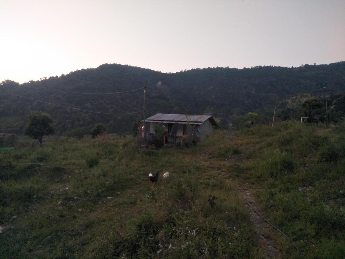 Pame Farm Stay - Housity