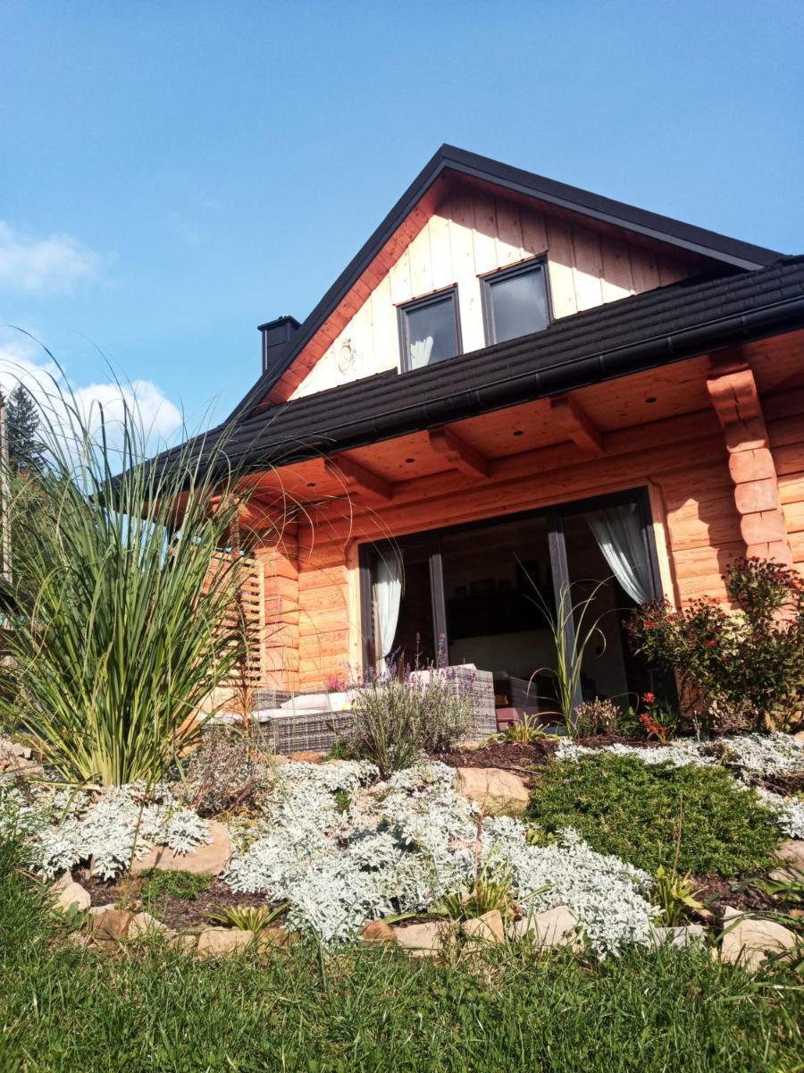MamChwilkeHome - Housity