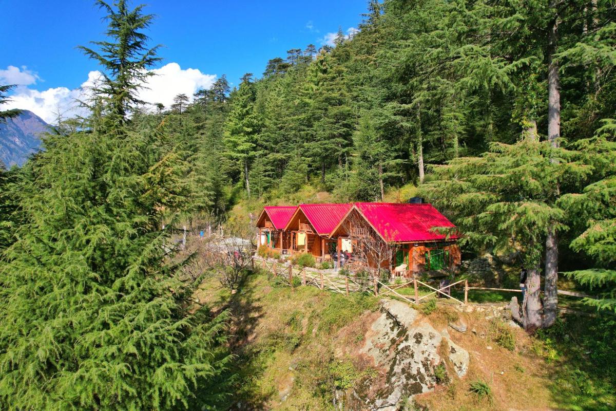 Himalayan Cedar Nest - Housity