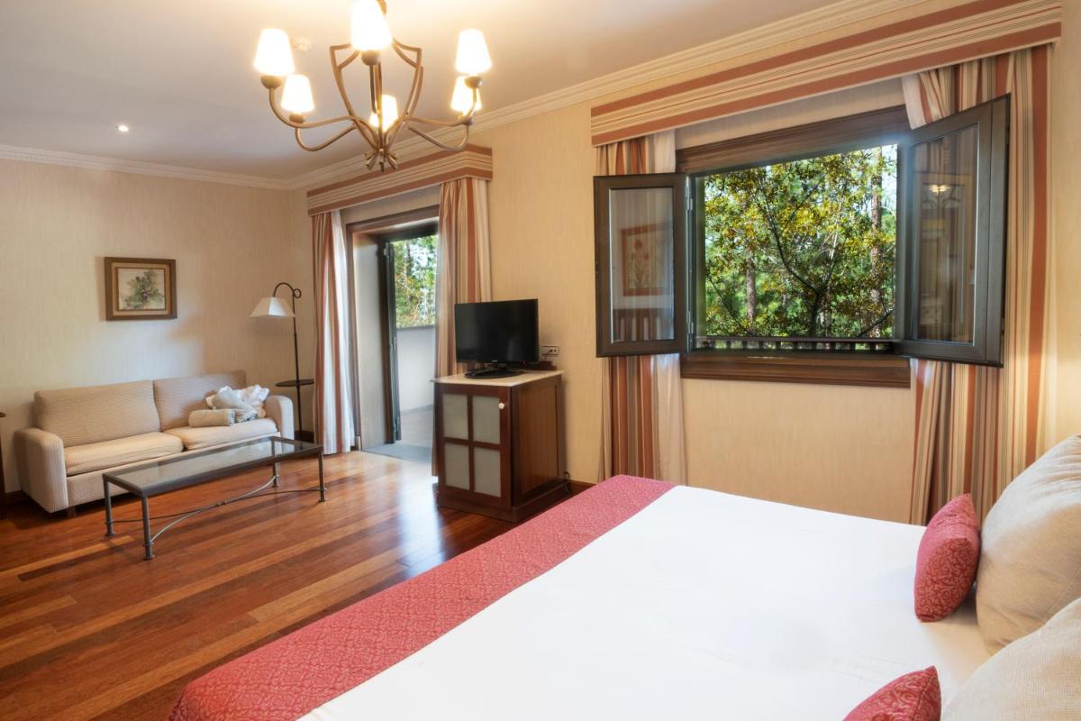Una televisión o centro de entretenimiento en Hotel Spa Villalba