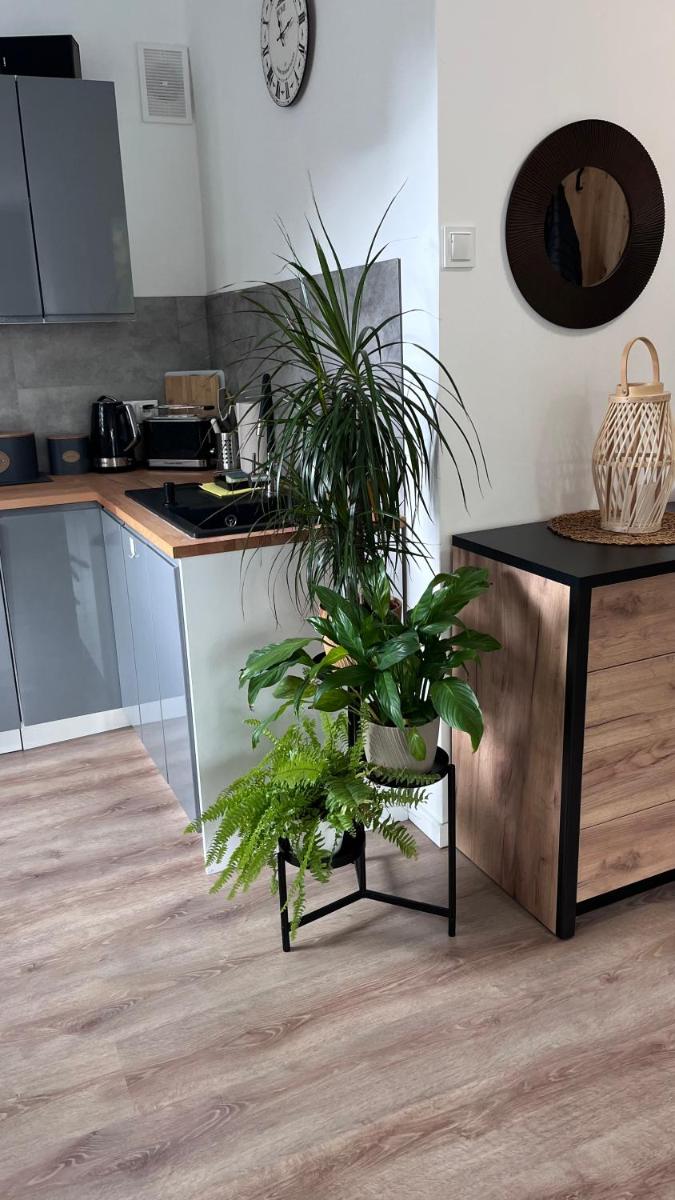 Apartament Przy Parku - Housity