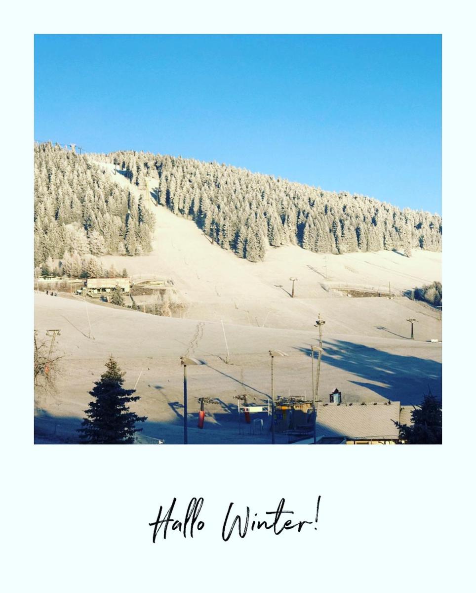 Villa Laas Oberwiesenthal - Housity