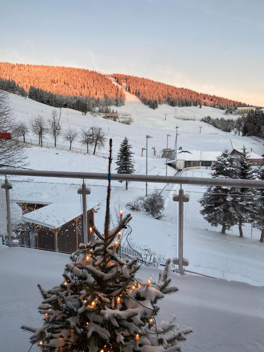 Villa Laas Oberwiesenthal - Housity