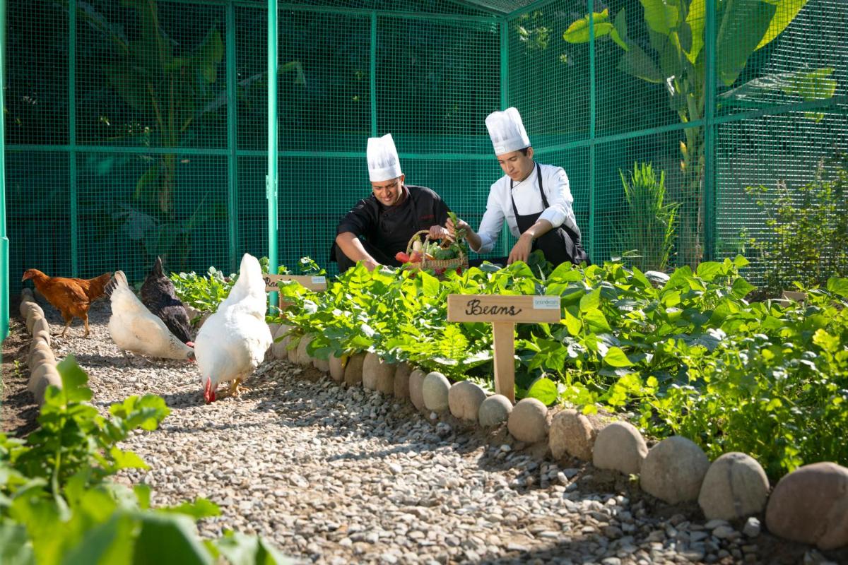 two chefs in a garden with chickens and plants at Anand Kashi by the Ganges Rishikesh - IHCL Seleqtions in Rishīkesh