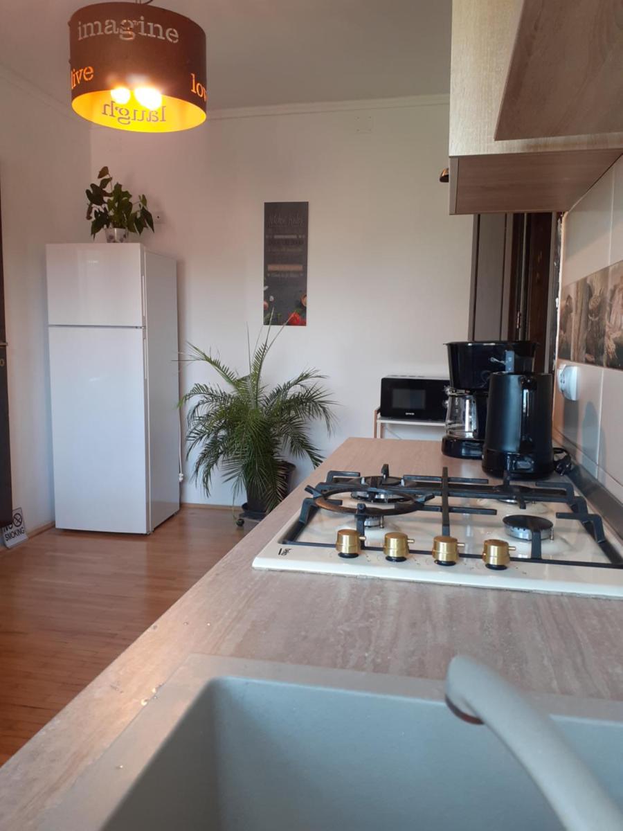 R-House - Hizvo