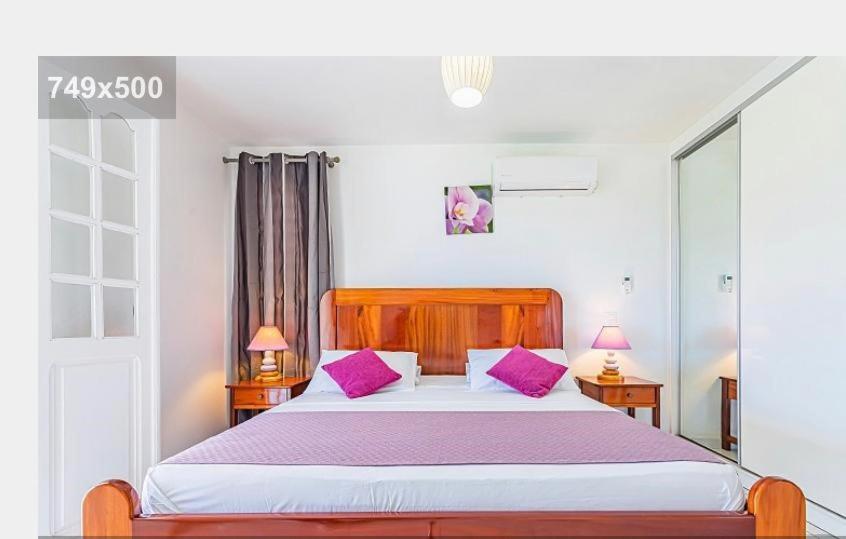 LA CANOPEE - Housity