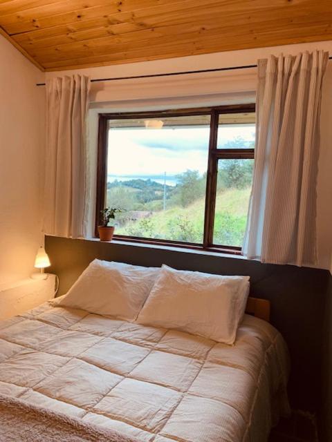Casa Abrigo - Housity