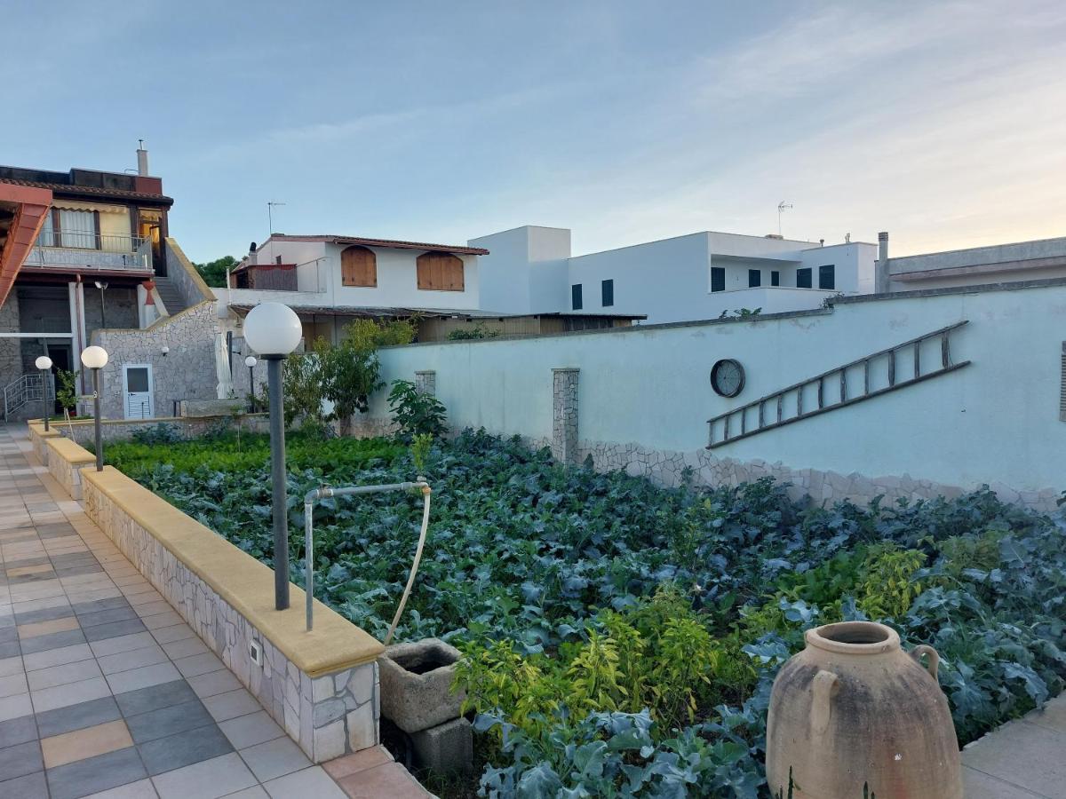 Oltremare - Housity