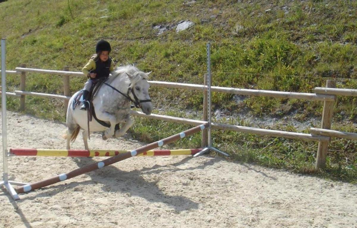 Équitation au sein de l'appart'hôtel ou à proximité