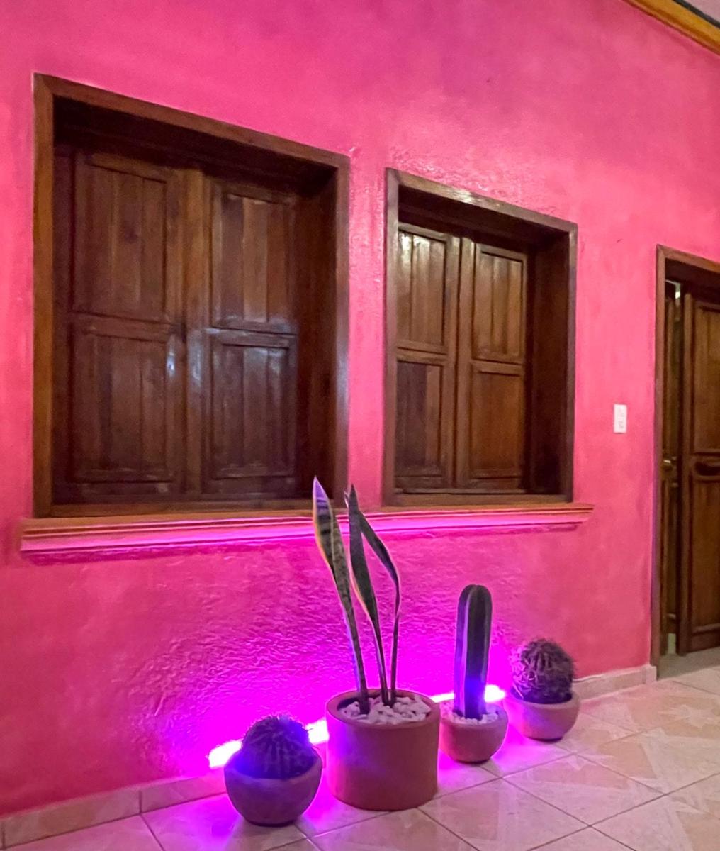 Casa Camilia - Housity